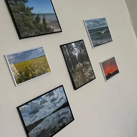 Guest Apartment